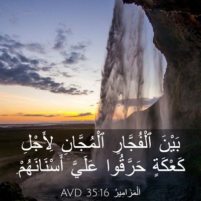 Picture 03 - اَلْمَزَامِيرُ 35:16 AVD - بَيْنَ ٱلْفُجَّارِ - Bible Verse Picture