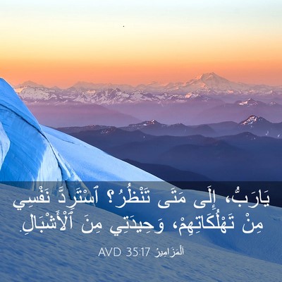 Picture 03 - اَلْمَزَامِيرُ 35:17 AVD - يَارَبُّ، إِلَى مَتَى - Bible Verse Picture