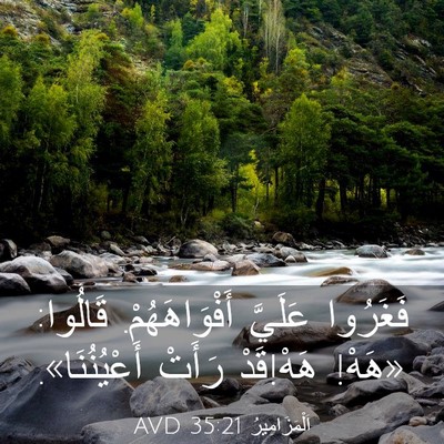 Picture 03 - اَلْمَزَامِيرُ 35:21 AVD - فَغَرُوا عَلَيَّ - Bible Verse Picture