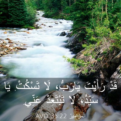 Picture 03 - اَلْمَزَامِيرُ 35:22 AVD - قَدْ رَأَيْتَ يَارَبُّ، - Bible Verse Picture