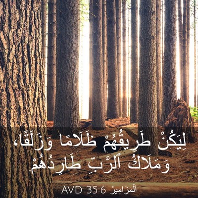 Picture 03 - اَلْمَزَامِيرُ 35:6 AVD - لِيَكُنْ طَرِيقُهُمْ - Bible Verse Picture
