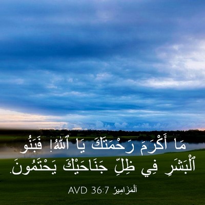 Picture 03 - اَلْمَزَامِيرُ 36:7 AVD - مَا أَكْرَمَ رَحْمَتَكَ - Bible Verse Picture