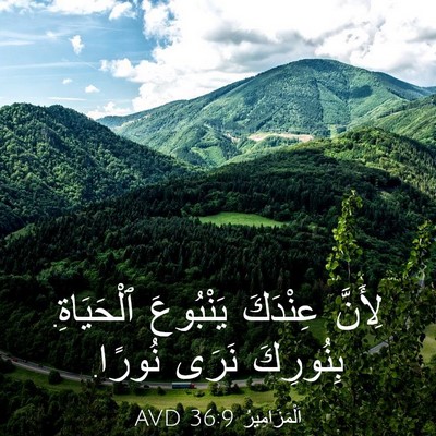 Picture 03 - اَلْمَزَامِيرُ 36:9 AVD - لِأَنَّ عِنْدَكَ - Bible Verse Picture