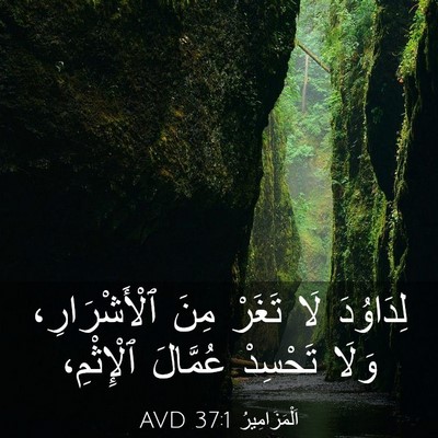 Picture 03 - اَلْمَزَامِيرُ 37:1 AVD - لِدَاوُدَ لَا تَغَرْ مِنَ - Bible Verse Picture