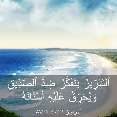 Picture 03 - اَلْمَزَامِيرُ 37:12 AVD - ٱلشِّرِّيرُ يَتَفَكَّرُ - Bible Verse Picture