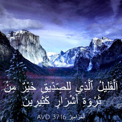 Picture 03 - اَلْمَزَامِيرُ 37:16 AVD - اَلْقَلِيلُ ٱلَّذِي - Bible Verse Picture