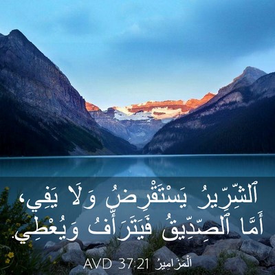 Picture 03 - اَلْمَزَامِيرُ 37:21 AVD - ٱلشِّرِّيرُ يَسْتَقْرِضُ - Bible Verse Picture