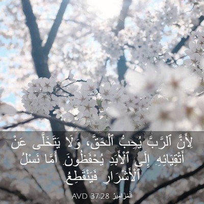 Picture 03 - اَلْمَزَامِيرُ 37:28 AVD - لِأَنَّ ٱلرَّبَّ يُحِبُّ - Bible Verse Picture