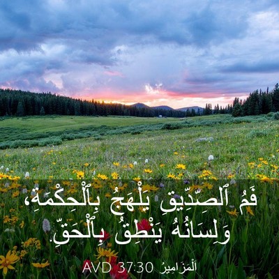 Picture 03 - اَلْمَزَامِيرُ 37:30 AVD - فَمُ ٱلصِّدِّيقِ يَلْهَجُ - Bible Verse Picture