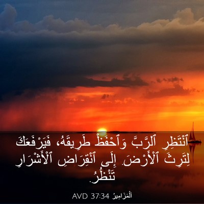 Picture 03 - اَلْمَزَامِيرُ 37:34 AVD - ٱنْتَظِرِ ٱلرَّبَّ - Bible Verse Picture