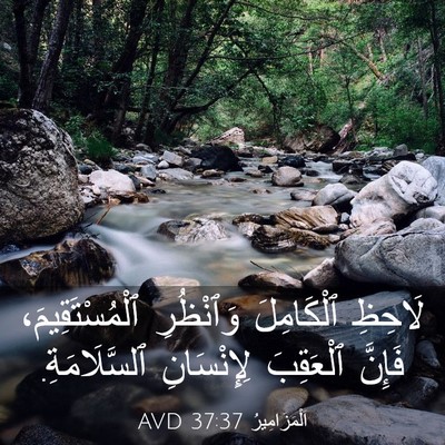 Picture 03 - اَلْمَزَامِيرُ 37:37 AVD - لَاحِظِ ٱلْكَامِلَ - Bible Verse Picture