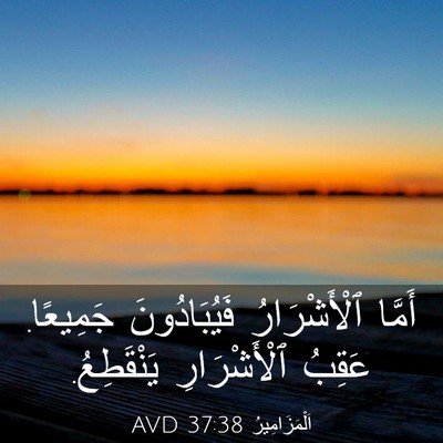 Picture 03 - اَلْمَزَامِيرُ 37:38 AVD - أَمَّا ٱلْأَشْرَارُ - Bible Verse Picture