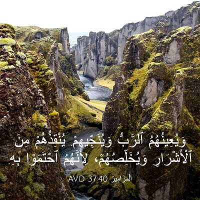 Picture 03 - اَلْمَزَامِيرُ 37:40 AVD - وَيُعِينُهُمُ ٱلرَّبُّ - Bible Verse Picture