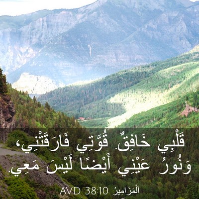 Picture 03 - اَلْمَزَامِيرُ 38:10 AVD - قَلْبِي خَافِقٌ. قُوَّتِي - Bible Verse Picture
