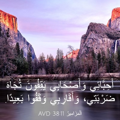 Picture 03 - اَلْمَزَامِيرُ 38:11 AVD - أَحِبَّائِي وَأَصْحَابِي - Bible Verse Picture