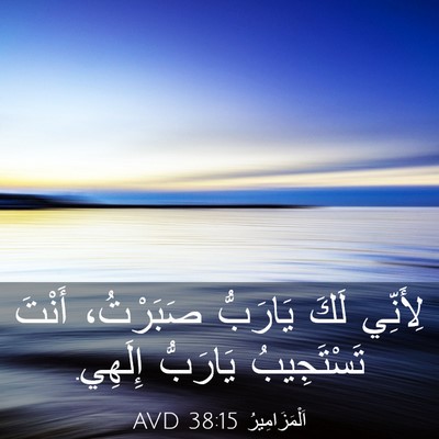Picture 03 - اَلْمَزَامِيرُ 38:15 AVD - لِأَنِّي لَكَ يَارَبُّ - Bible Verse Picture