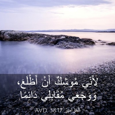 Picture 03 - اَلْمَزَامِيرُ 38:17 AVD - لِأَنِّي مُوشِكٌ أَنْ - Bible Verse Picture