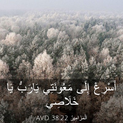 Picture 03 - اَلْمَزَامِيرُ 38:22 AVD - أَسْرِعْ إِلَى مَعُونَتِي - Bible Verse Picture