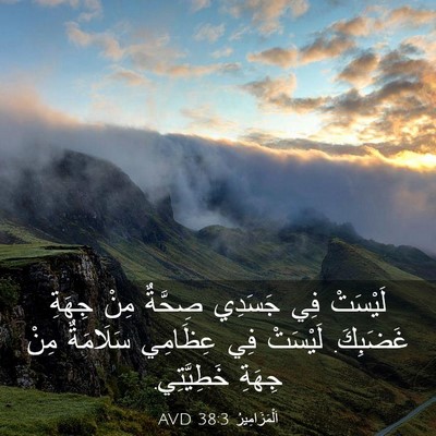 Picture 03 - اَلْمَزَامِيرُ 38:3 AVD - لَيْسَتْ فِي جَسَدِي - Bible Verse Picture