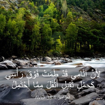 Picture 03 - اَلْمَزَامِيرُ 38:4 AVD - لِأَنَّ آثَامِي قَدْ - Bible Verse Picture
