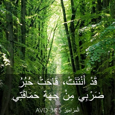 Picture 03 - اَلْمَزَامِيرُ 38:5 AVD - قَدْ أَنْتَنَتْ، قَاحَتْ - Bible Verse Picture