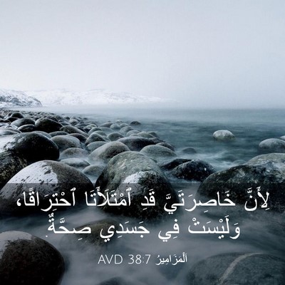 Picture 03 - اَلْمَزَامِيرُ 38:7 AVD - لِأَنَّ خَاصِرَتَيَّ قَدِ - Bible Verse Picture