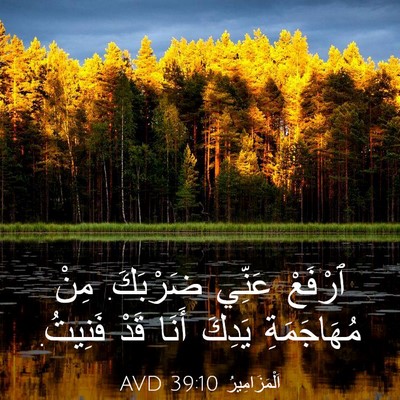 Picture 03 - اَلْمَزَامِيرُ 39:10 AVD - ٱرْفَعْ عَنِّي ضَرْبَكَ. - Bible Verse Picture