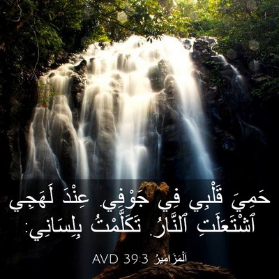 Picture 03 - اَلْمَزَامِيرُ 39:3 AVD - حَمِيَ قَلْبِي فِي - Bible Verse Picture