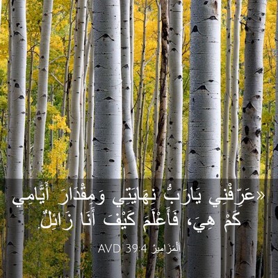 Picture 03 - اَلْمَزَامِيرُ 39:4 AVD - «عَرِّفْنِي يَارَبُّ - Bible Verse Picture