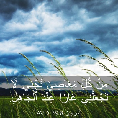 Picture 03 - اَلْمَزَامِيرُ 39:8 AVD - مِنْ كُلِّ مَعَاصِيَّ - Bible Verse Picture