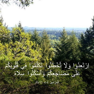Picture 03 - اَلْمَزَامِيرُ 4:4 AVD - اِرْتَعِدُوا وَلَا - Bible Verse Picture