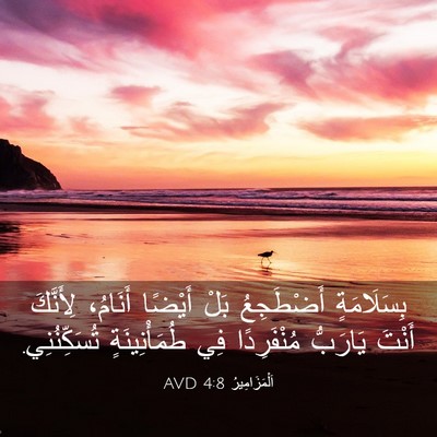 Picture 03 - اَلْمَزَامِيرُ 4:8 AVD - بِسَلَامَةٍ أَضْطَجِعُ - Bible Verse Picture