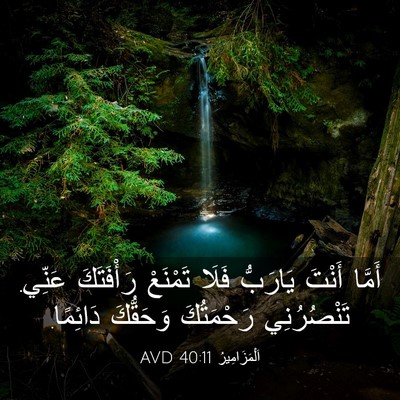 Picture 03 - اَلْمَزَامِيرُ 40:11 AVD - أَمَّا أَنْتَ يَارَبُّ - Bible Verse Picture