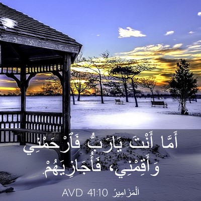 Picture 03 - اَلْمَزَامِيرُ 41:10 AVD - أَمَّا أَنْتَ يَارَبُّ - Bible Verse Picture