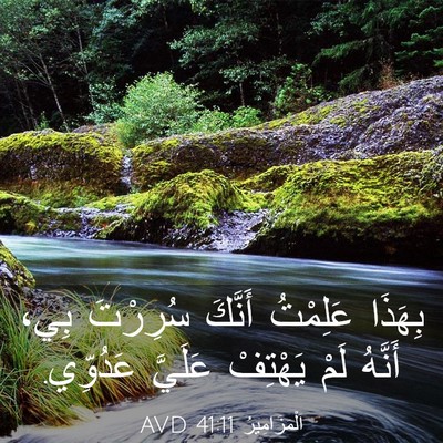 Picture 03 - اَلْمَزَامِيرُ 41:11 AVD - بِهَذَا عَلِمْتُ أَنَّكَ - Bible Verse Picture