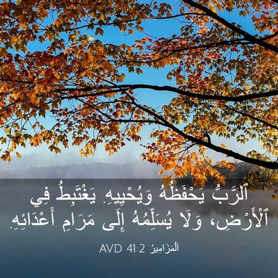 Picture 03 - اَلْمَزَامِيرُ 41:2 AVD - ٱلرَّبُّ يَحْفَظُهُ - Bible Verse Picture