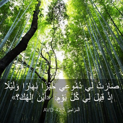 Picture 03 - اَلْمَزَامِيرُ 42:3 AVD - صَارَتْ لِي دُمُوعِي - Bible Verse Picture