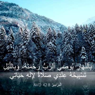 Picture 03 - اَلْمَزَامِيرُ 42:8 AVD - بِٱلنَّهَارِ يُوصِي - Bible Verse Picture