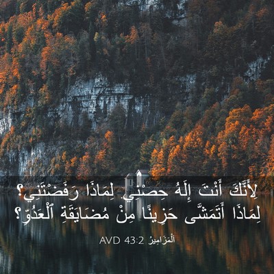 Picture 03 - اَلْمَزَامِيرُ 43:2 AVD - لِأَنَّكَ أَنْتَ إِلَهُ - Bible Verse Picture