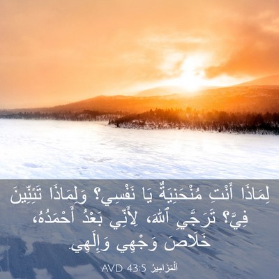 Picture 03 - اَلْمَزَامِيرُ 43:5 AVD - لِمَاذَا أَنْتِ - Bible Verse Picture
