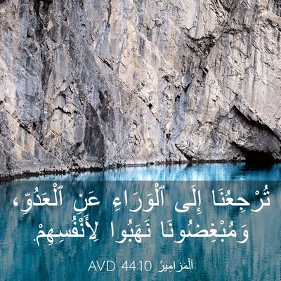 Picture 03 - اَلْمَزَامِيرُ 44:10 AVD - تُرْجِعُنَا إِلَى - Bible Verse Picture