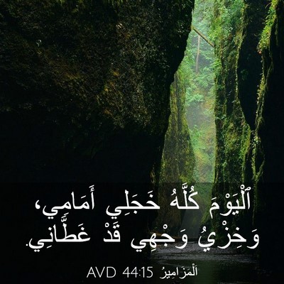 Picture 03 - اَلْمَزَامِيرُ 44:15 AVD - ٱلْيَوْمَ كُلَّهُ خَجَلِي - Bible Verse Picture