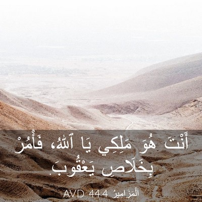 Picture 03 - اَلْمَزَامِيرُ 44:4 AVD - أَنْتَ هُوَ مَلِكِي يَا - Bible Verse Picture