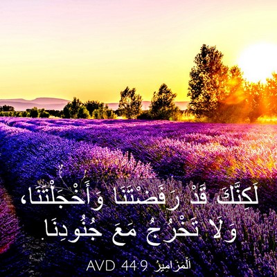 Picture 03 - اَلْمَزَامِيرُ 44:9 AVD - لَكِنَّكَ قَدْ - Bible Verse Picture