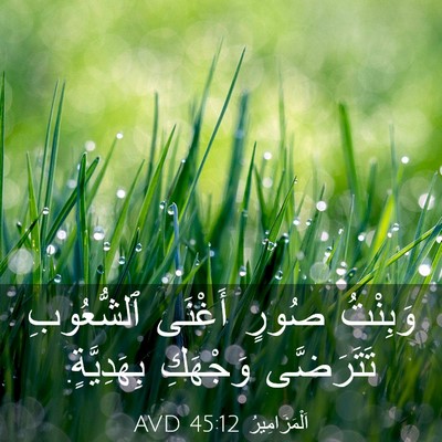Picture 03 - اَلْمَزَامِيرُ 45:12 AVD - وَبِنْتُ صُورٍ أَغْنَى - Bible Verse Picture