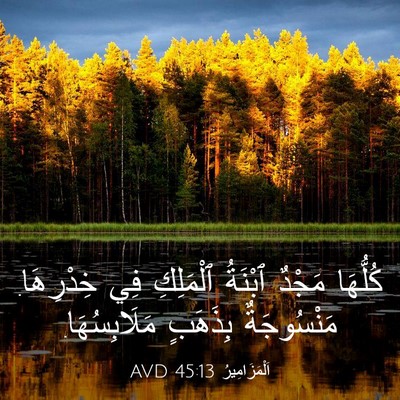 Picture 03 - اَلْمَزَامِيرُ 45:13 AVD - كُلُّهَا مَجْدٌ ٱبْنَةُ - Bible Verse Picture