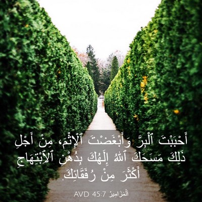 Picture 03 - اَلْمَزَامِيرُ 45:7 AVD - أَحْبَبْتَ ٱلْبِرَّ - Bible Verse Picture