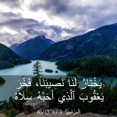 Picture 03 - اَلْمَزَامِيرُ 47:4 AVD - يَخْتَارُ لَنَا - Bible Verse Picture