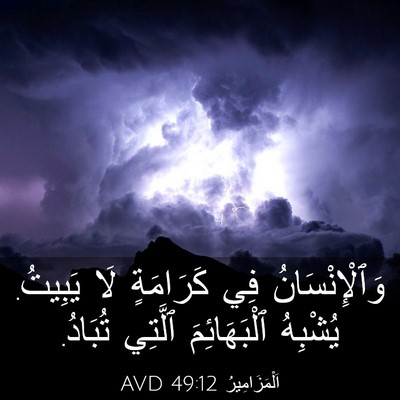 Picture 03 - اَلْمَزَامِيرُ 49:12 AVD - وَٱلْإِنْسَانُ فِي - Bible Verse Picture