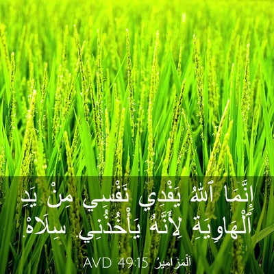 Picture 03 - اَلْمَزَامِيرُ 49:15 AVD - إِنَّمَا ٱللهُ يَفْدِي - Bible Verse Picture